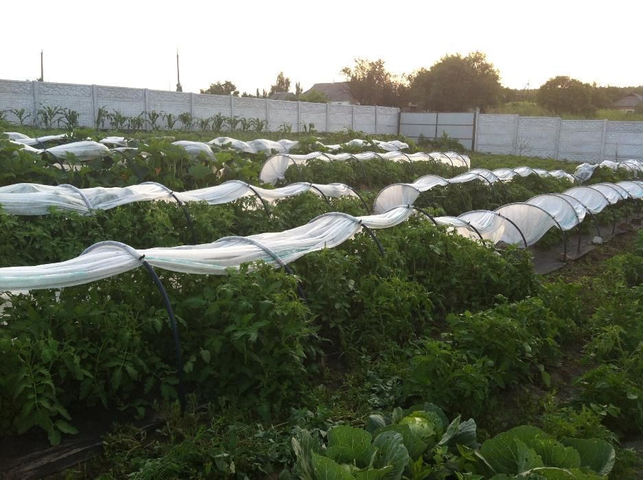 Домик для семьи 3, 4 чел.)