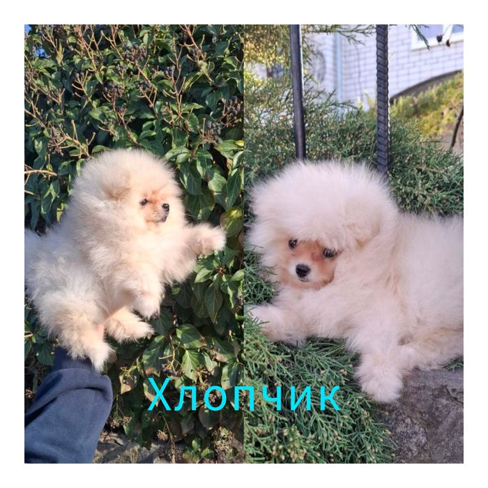 Хлопчик красунчик!!!