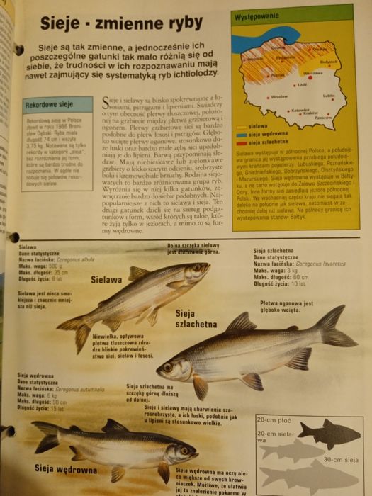 Dwa przewodniki wędkarskie