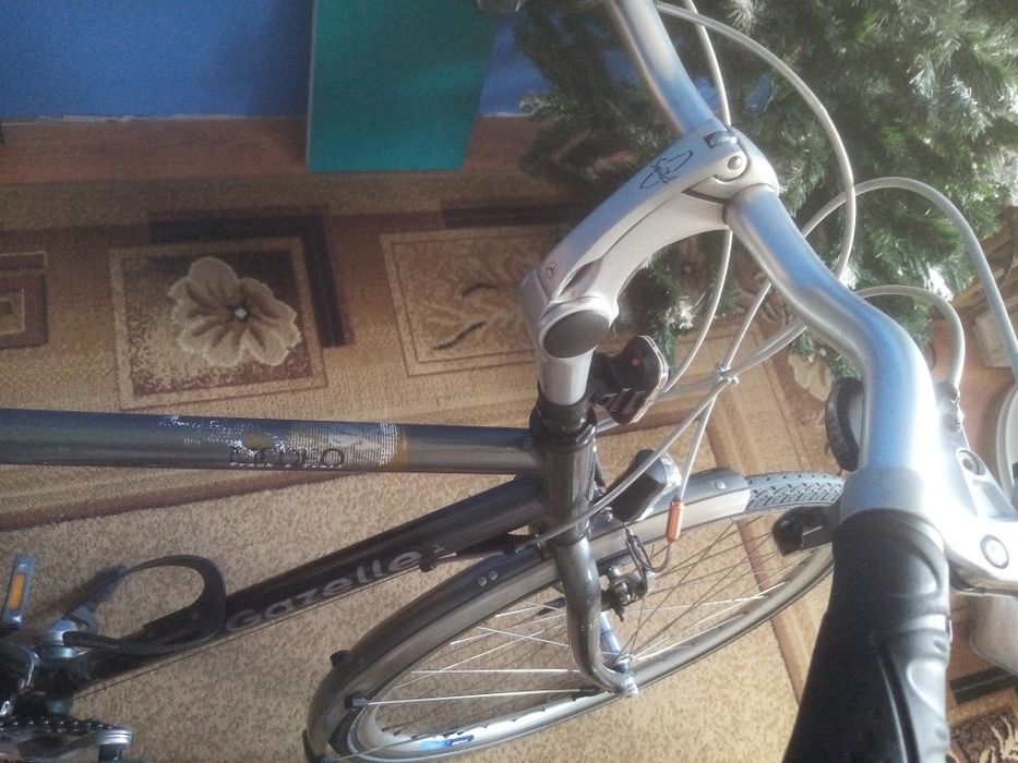 Rower męski gazelle medeo
