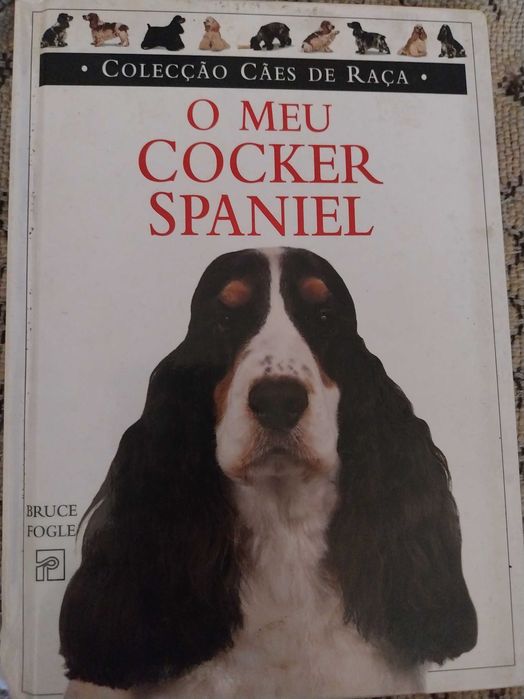 O meu cocker spaniel