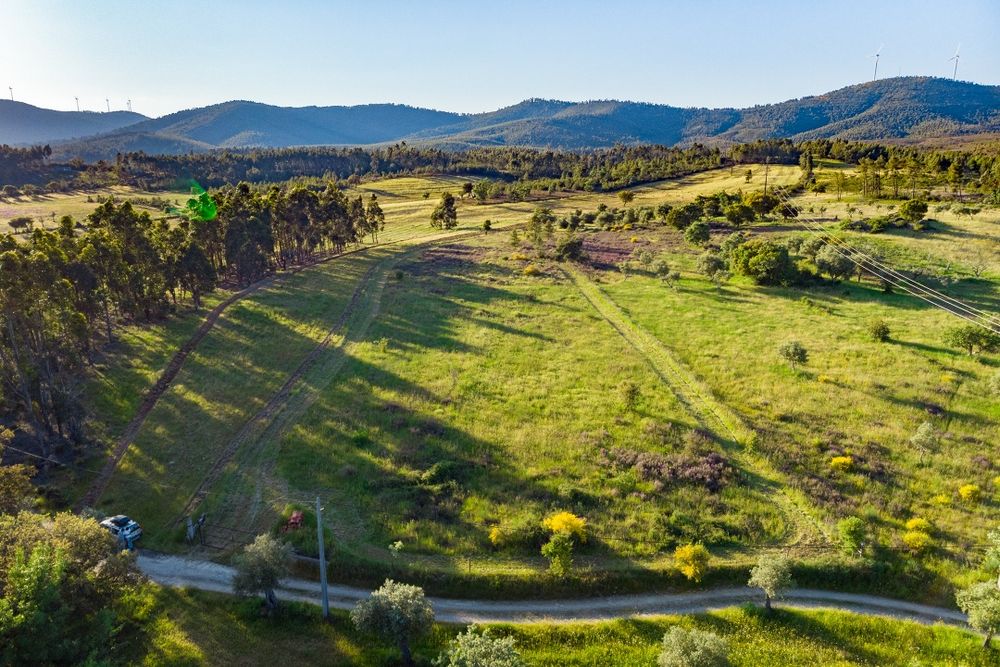 Terreno em Penamacor
