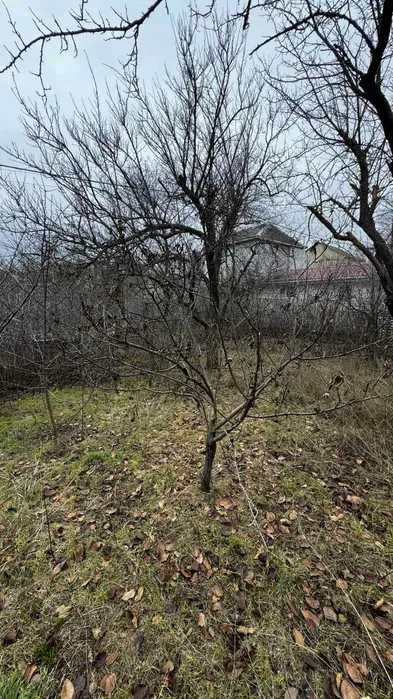 (13/А) Продам будинок в Сухому Лимані