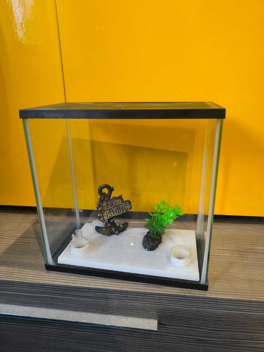 Aquário pequeno C/Novo