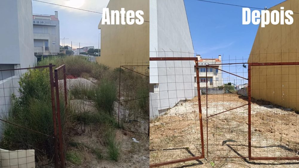 Limpeza terrenos e manutenção jardins