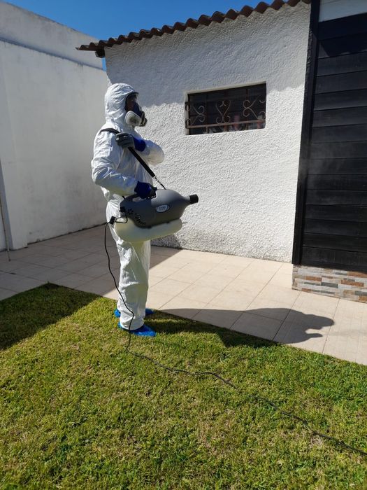 Controlo de Pragas e Desinfestações 24/7