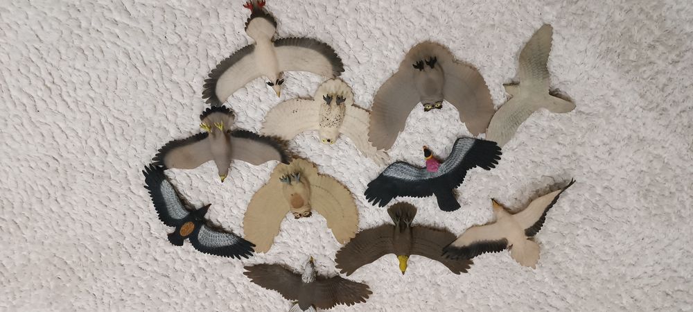 Brinquedos Coleção de aves