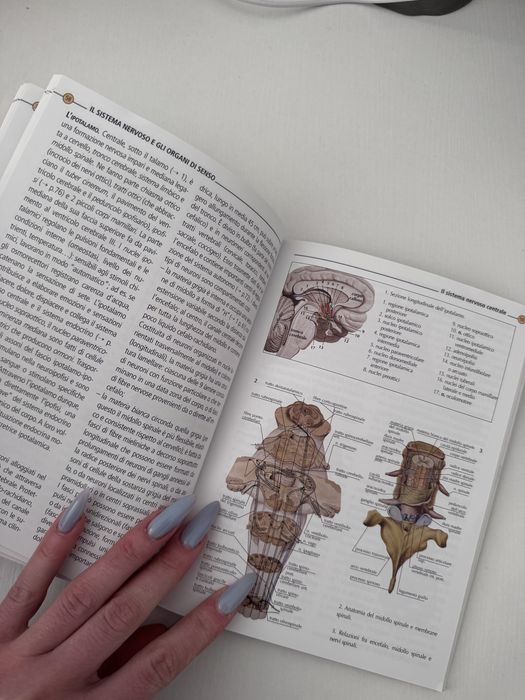 Книга з анатомії італійською мовою / Anatomia  Adriana Rigutti