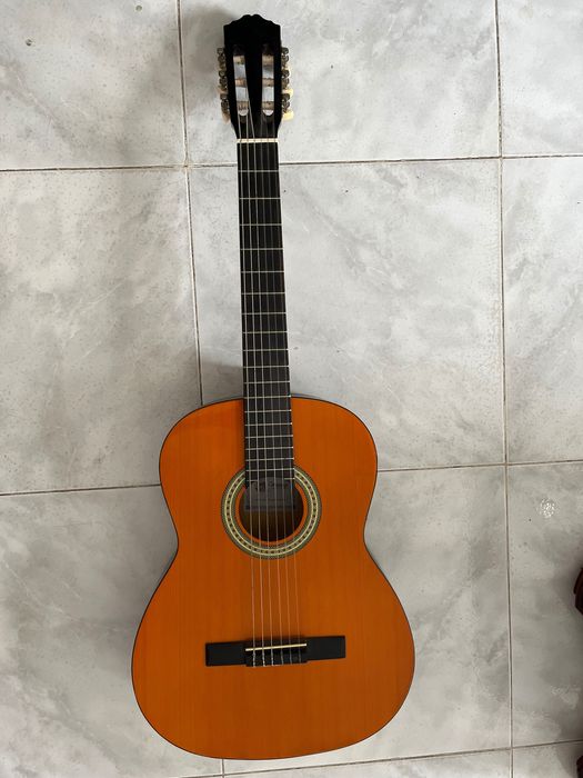 Messina classical viola475852506944645120