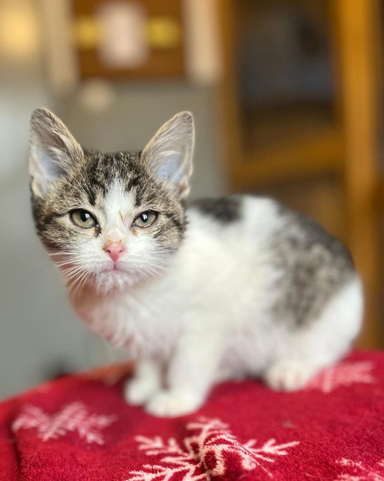 Kochana Patoka czeka tutaj na Ciebie !