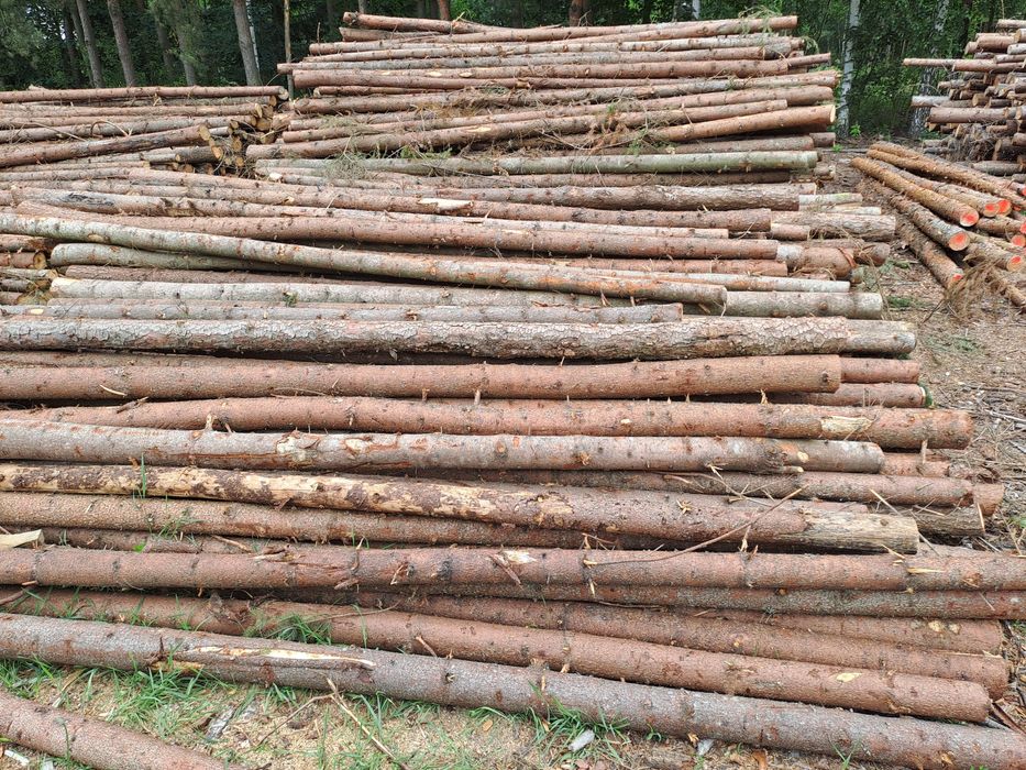 Stemple budowlane drewniane