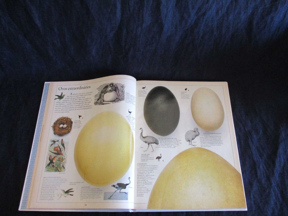 Livro Aves Peixes Mamíferos Enciclopédia Visual