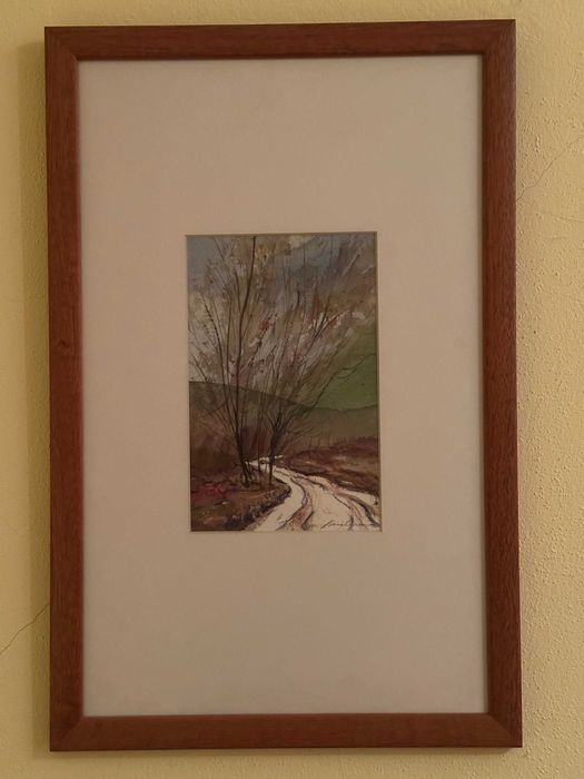 Conjunto de aguarelas Xavier Galiza