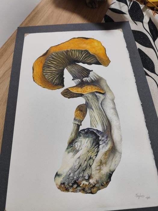 Pintura à mão (pessoal)
