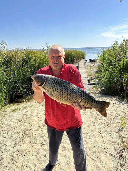 Трезвий водій , перевезення по Україні