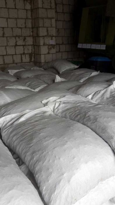 Lucerna oczyszczona workowana.