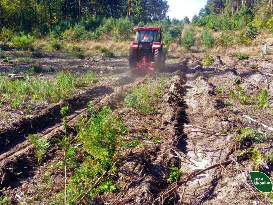 Лісовий плуг ПЛ-75-15М до трактора для нерозкорчованих вирубок!