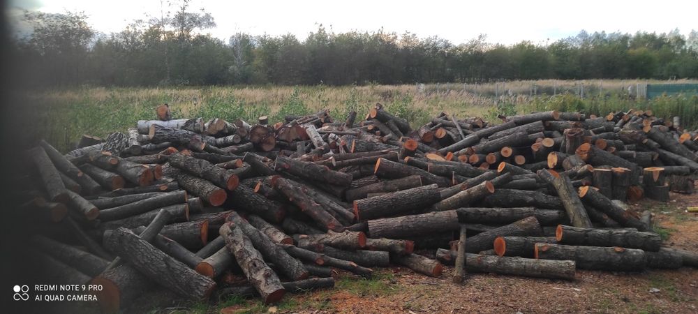 Sprzedam drzewo opałowe