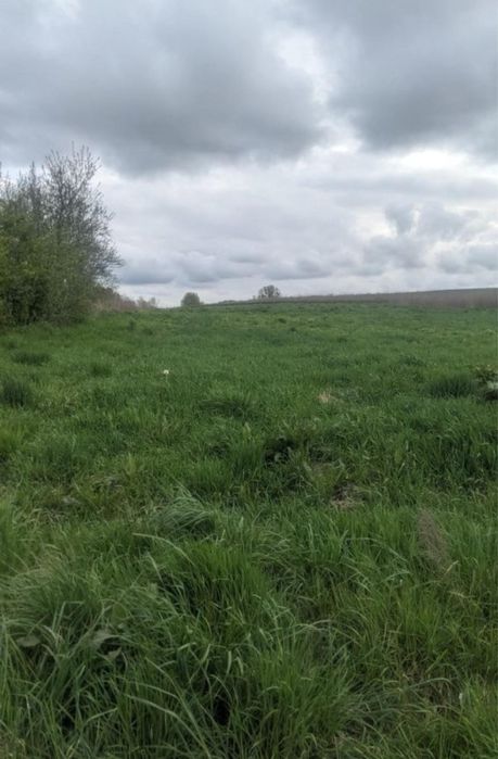 Продаж земельної ділянки 11сот у Гамаліївці