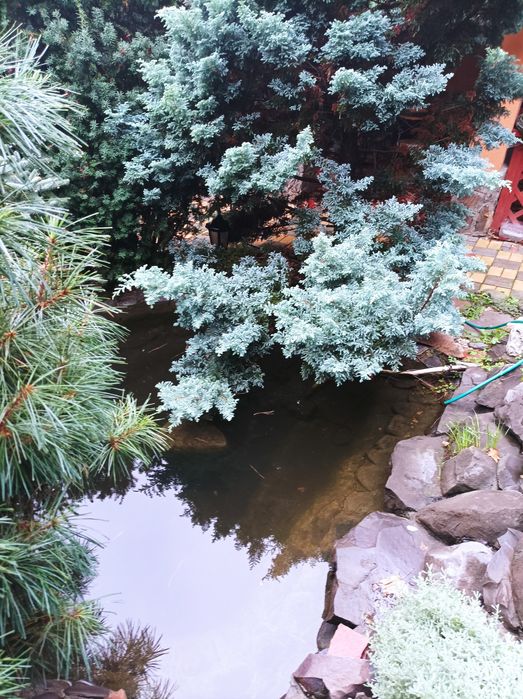 Здається будинок можливо на  дві родини.