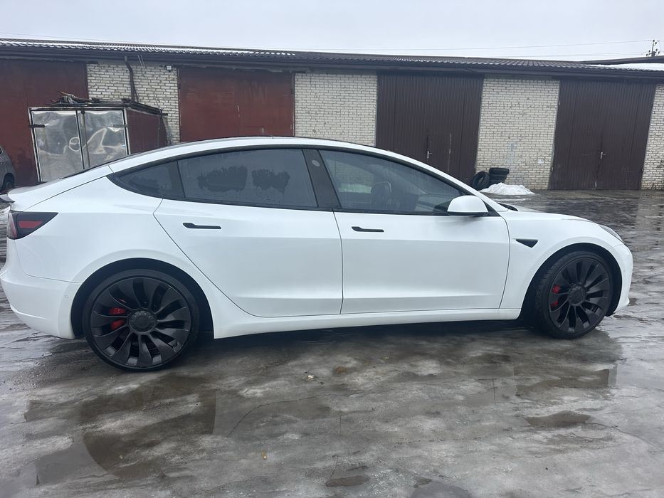 Тесла 3   Performans