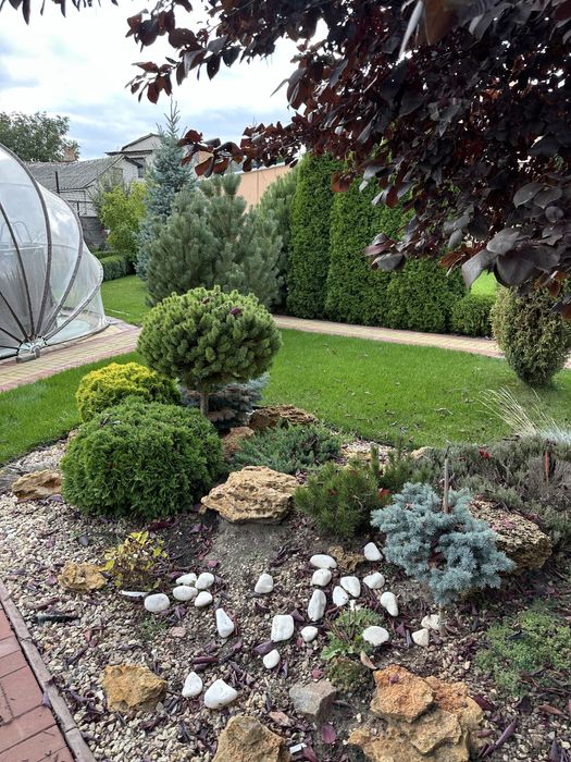 Продам Дім Провулок Польовий 10