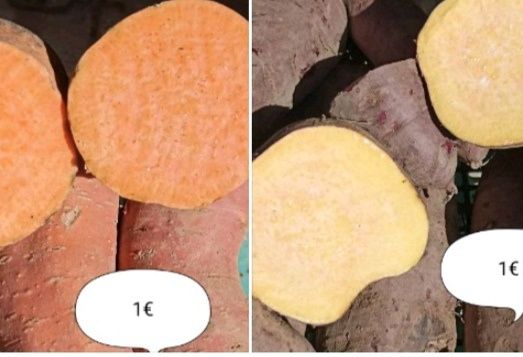 Batata doce laranja lugar da estrada