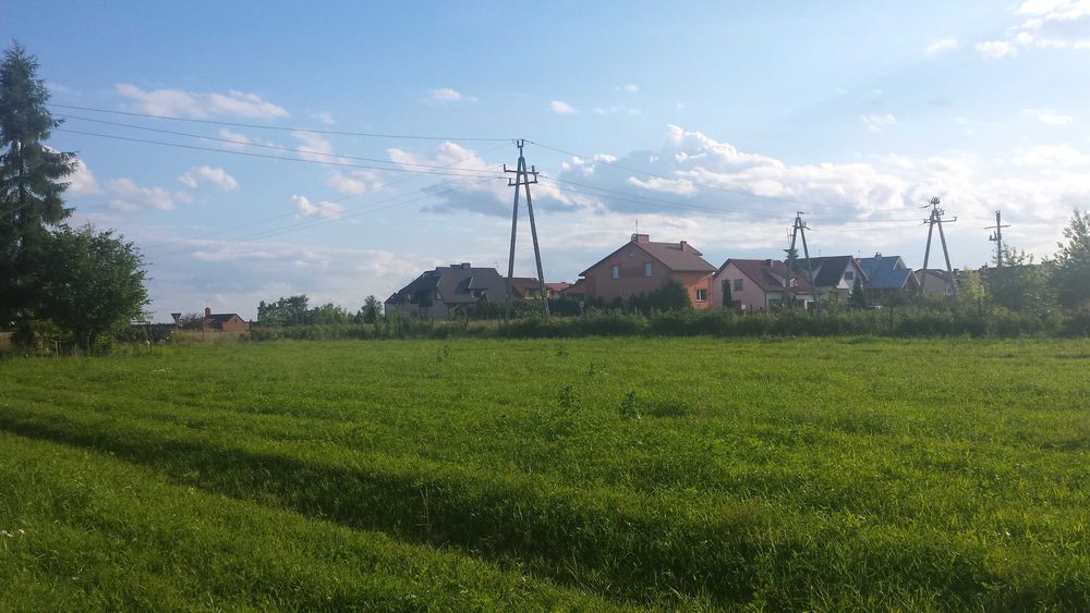 dzialka do wynajęcia