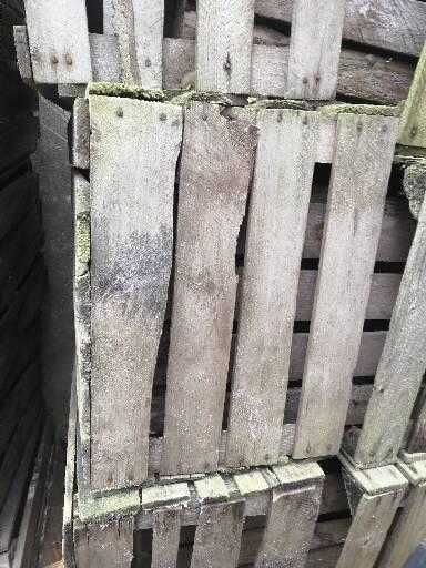 Skrzynki na podpalke