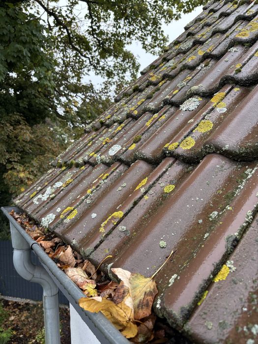 Mycie Dachów i Elewacji AlpinBlue | Legnica  i okolice