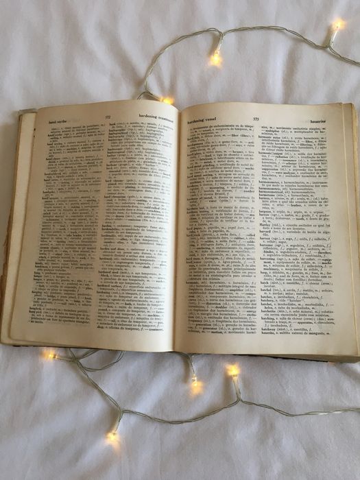 Dicionário de termos técnicos Inglês Português portes incluídos