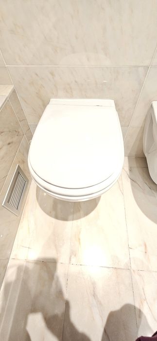 Sanita suspensa Roca