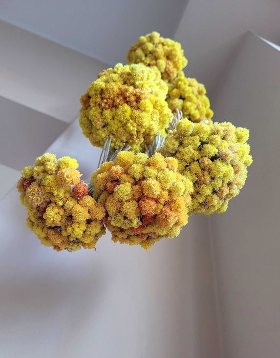 żółte bukieciki / żółty bukiecik suszki suszone kwiaty / dodatki na Twój stół