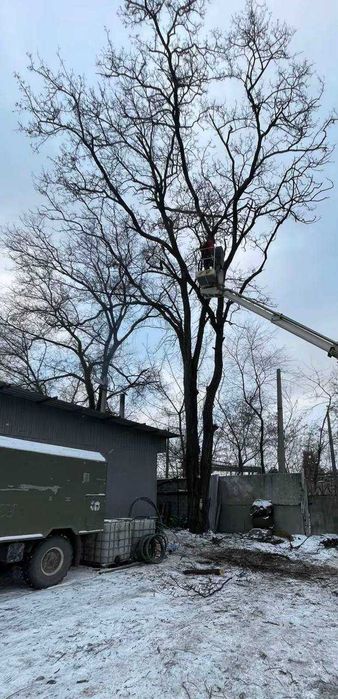 Обрізка та спилювання дерев на висоті | Аварійні та складні місця |