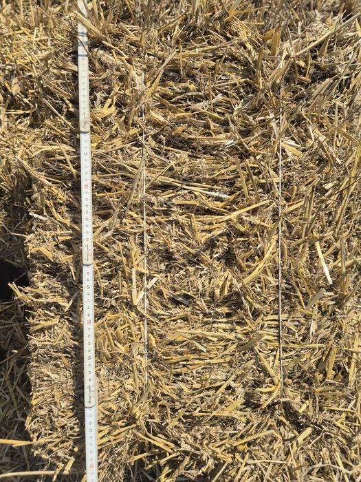 Sprzedam  słomę w kostkach