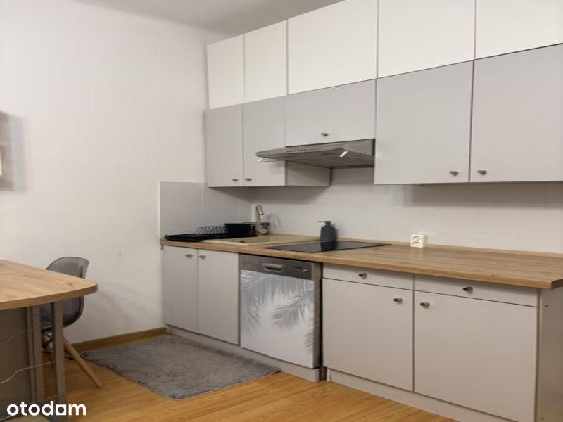 Apartment in Poznań - Widok 3