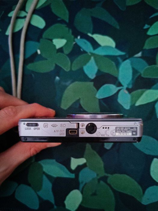 Aparat cyfrowy Sony Cyber-shot DSC-W690