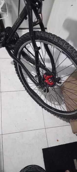 Vendo bicicleta: ler anúncio