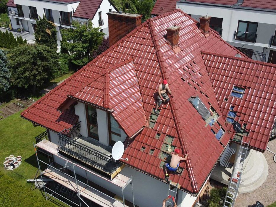 Kuna na poddaszu pastuch i naprawa dachu pomoc ubezpieczenie Łódź