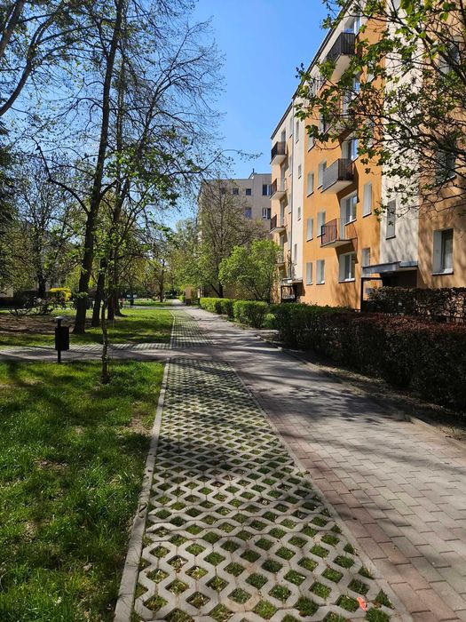 Zdjęcie 8
