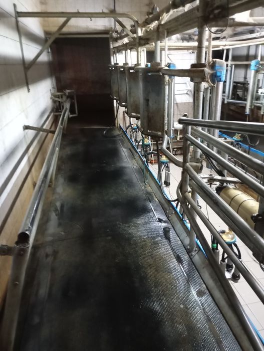 Kompletna hala udojowa 2×5