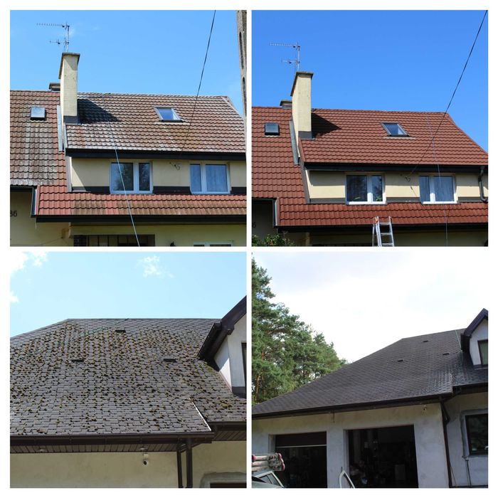 Wycinka drzew, usługi alpinistyczne, mycie dachów, malowanie dachów.