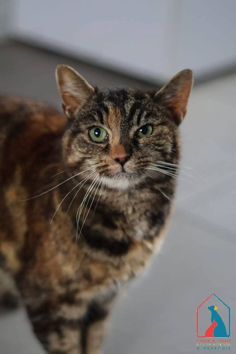 Mojka 413/25 - SZUKA DOMU!