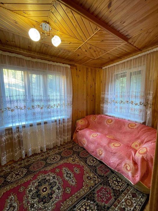 Будинок в Карпатах під лісом
