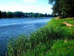 Зем.Участок 8сот.Під забудову. р.СНОВ+рДесна+ Озеро поруч.Курорт.Місце