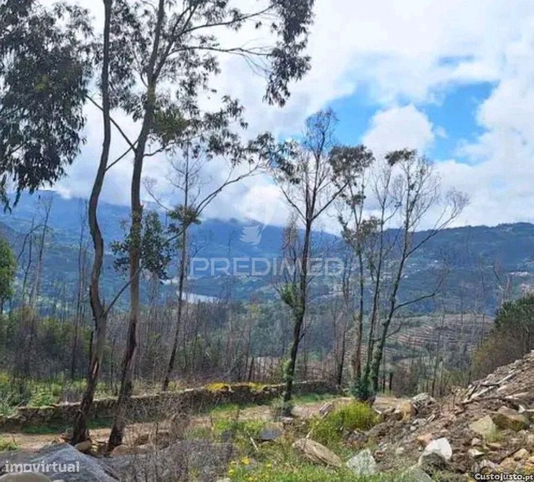 Terreno para construção em Balde Santa Leocádia-Baião com vistas pa...