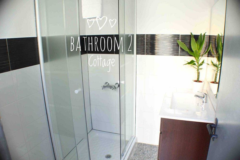 T3 centro do Porto com quintal e anexos