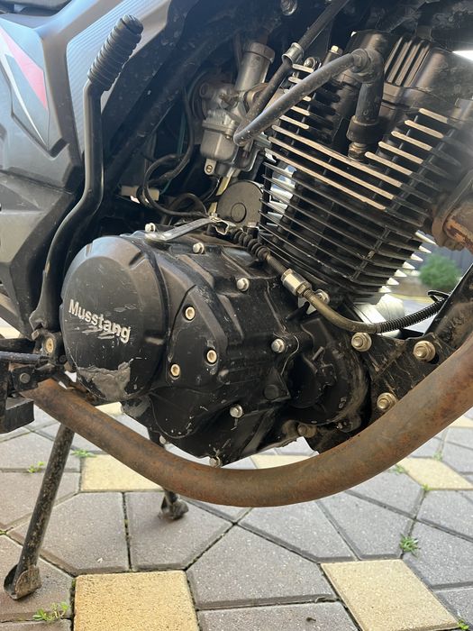 Мустанг фортуна 200.