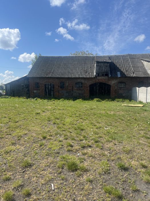 Wynajmę Budynki gospodarcze Grodkowo Włóki