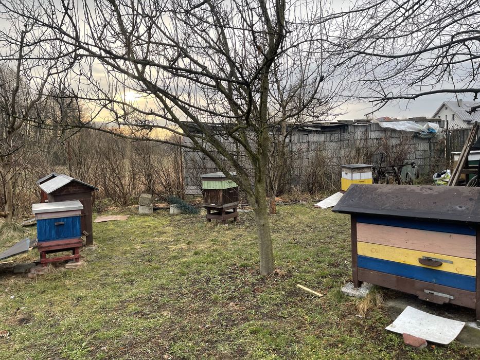 Sprzedam ule z pszczołami